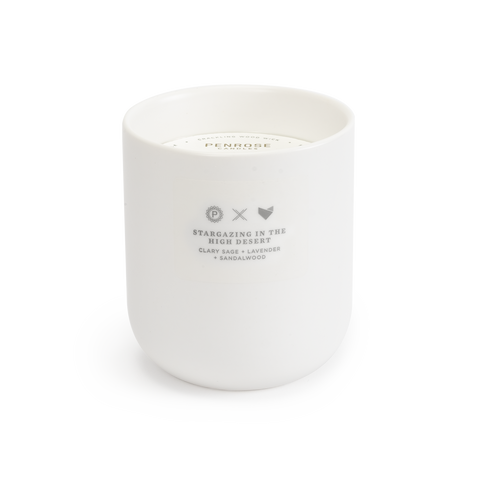 Scents of Oregon: High Desert Ceramic Candle (WS)